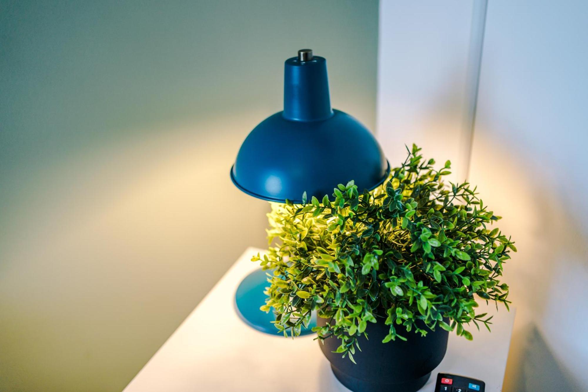 Large 7 Bedroom Town House In Chester City Centre エクステリア 写真
